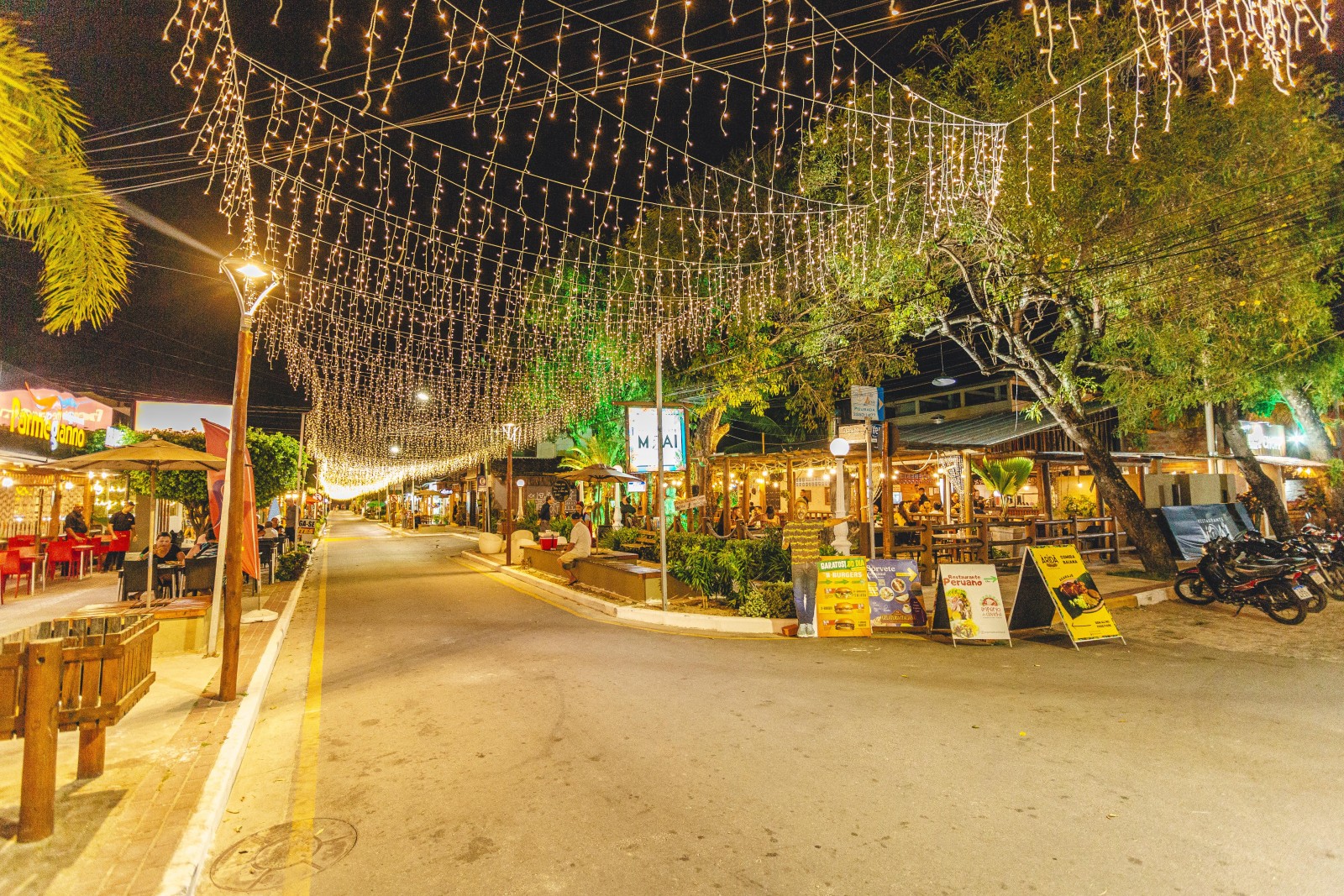 Rua La Rue iluminada à noite com luzes em cascata e coqueiros na Vila do Francês