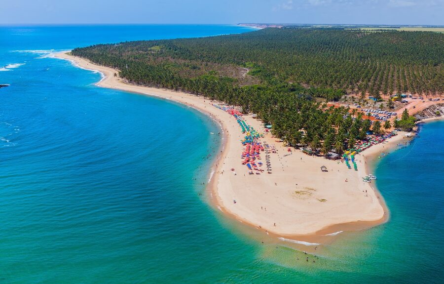 Praia do Gunga Alagoas vista aérea língua de areia