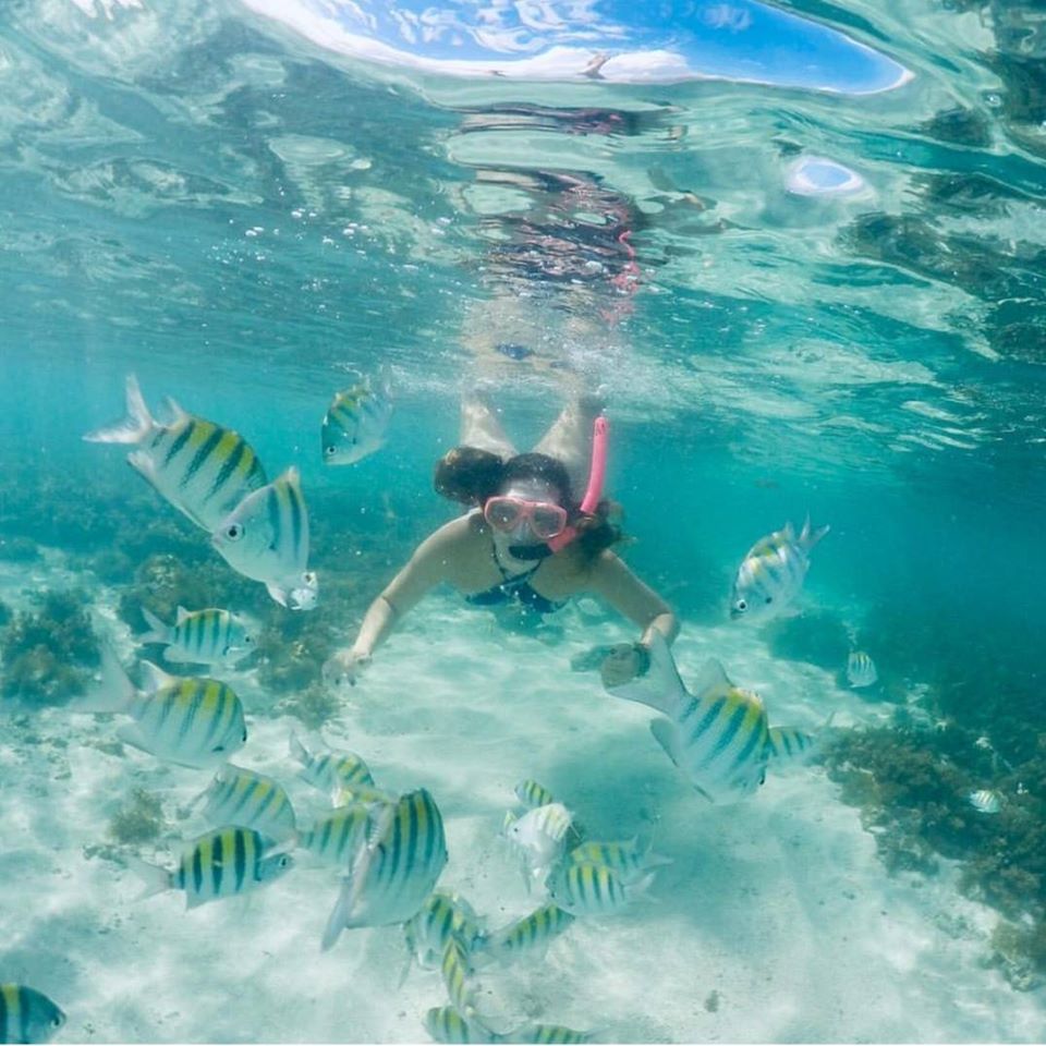 Snorkeling cercada de peixes coloridos nas piscinas naturais de Maragogi
